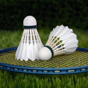 Badminton