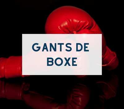 gants de boxe